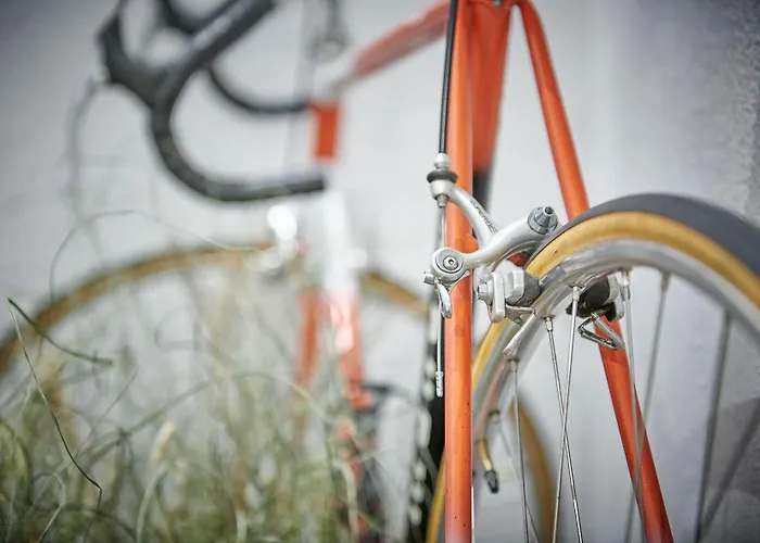 Hotel Balga Natur- Und Bikehotel Balgach