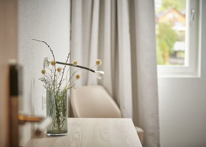 Balga Natur- Und Bikehotel 3* Balgach