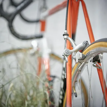 Szálloda Balga Natur- Und Bikehotel Balgach