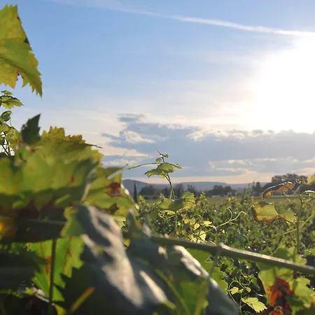 Hotel Balga Natur- Und Bikehotel