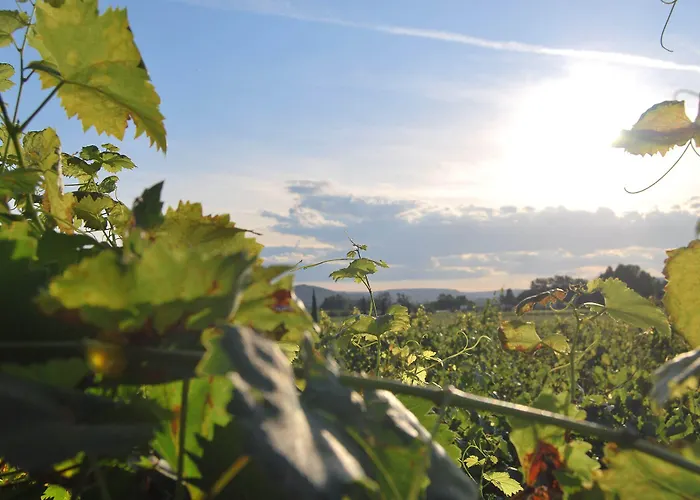 Hotel Balga Natur- Und Bikehotel